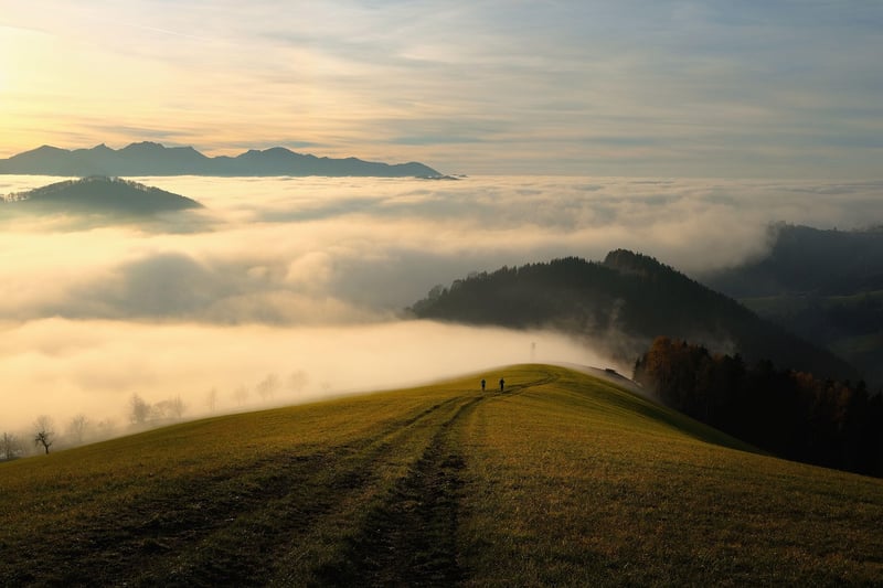 Mountain Trails